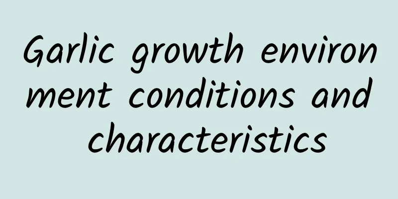 Garlic growth environment conditions and characteristics