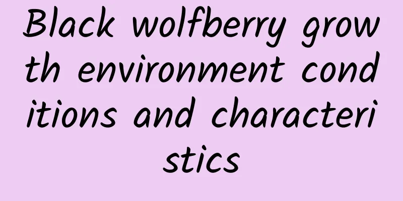 Black wolfberry growth environment conditions and characteristics