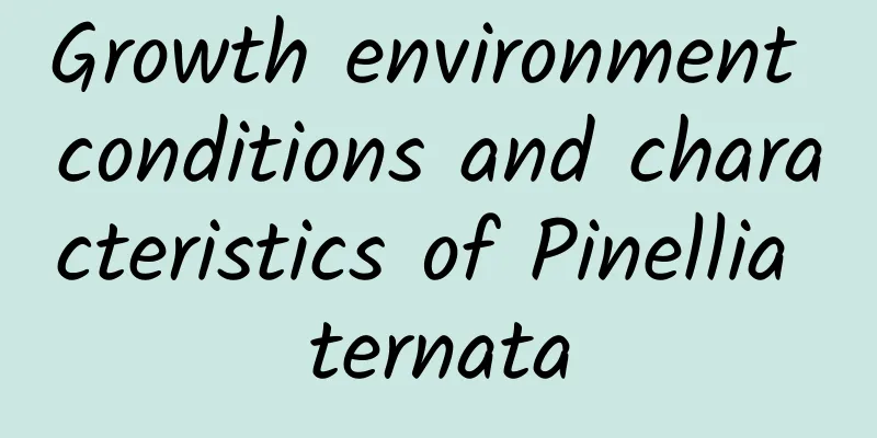 Growth environment conditions and characteristics of Pinellia ternata