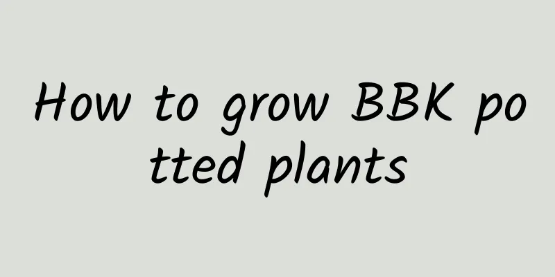 How to grow BBK potted plants