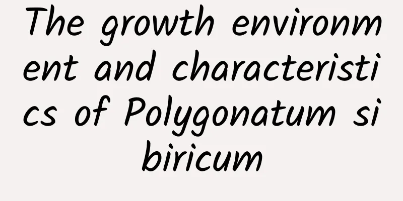 The growth environment and characteristics of Polygonatum sibiricum