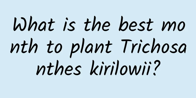 What is the best month to plant Trichosanthes kirilowii?