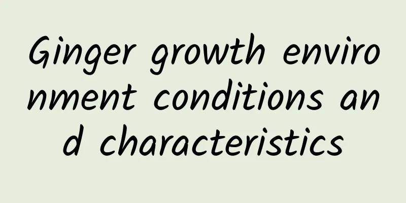 Ginger growth environment conditions and characteristics