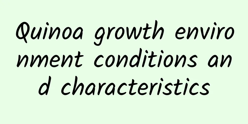 Quinoa growth environment conditions and characteristics