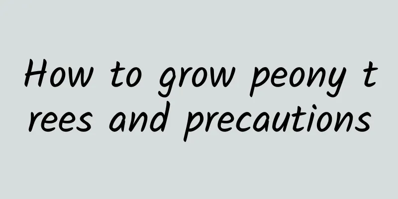 How to grow peony trees and precautions