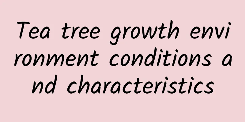 Tea tree growth environment conditions and characteristics