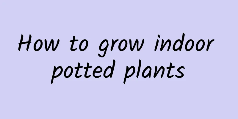 How to grow indoor potted plants