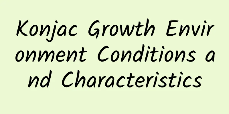 Konjac Growth Environment Conditions and Characteristics