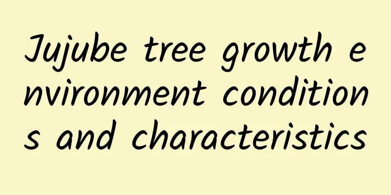 Jujube tree growth environment conditions and characteristics