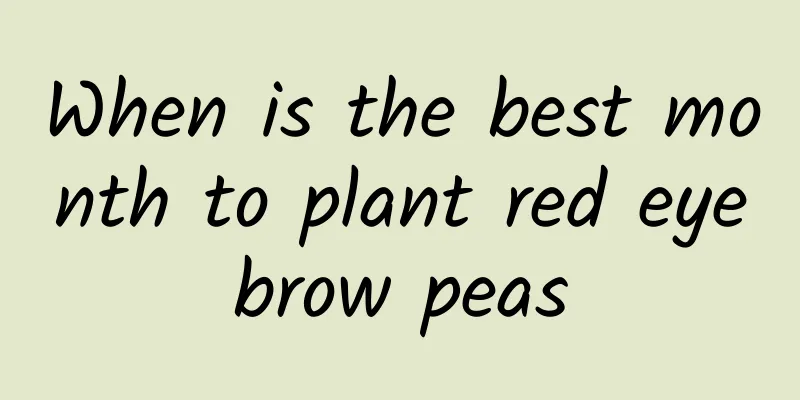 When is the best month to plant red eyebrow peas