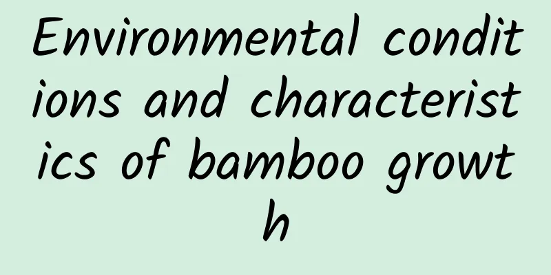 Environmental conditions and characteristics of bamboo growth