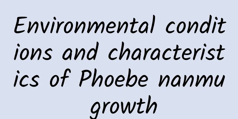 Environmental conditions and characteristics of Phoebe nanmu growth