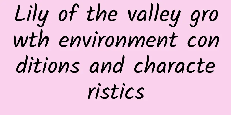 Lily of the valley growth environment conditions and characteristics