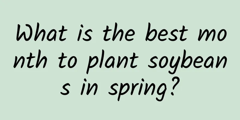 What is the best month to plant soybeans in spring?