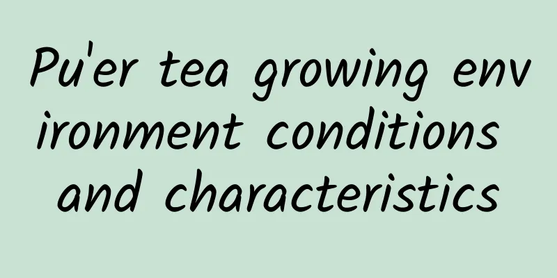 Pu'er tea growing environment conditions and characteristics