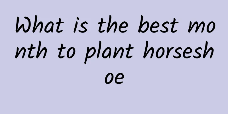 What is the best month to plant horseshoe