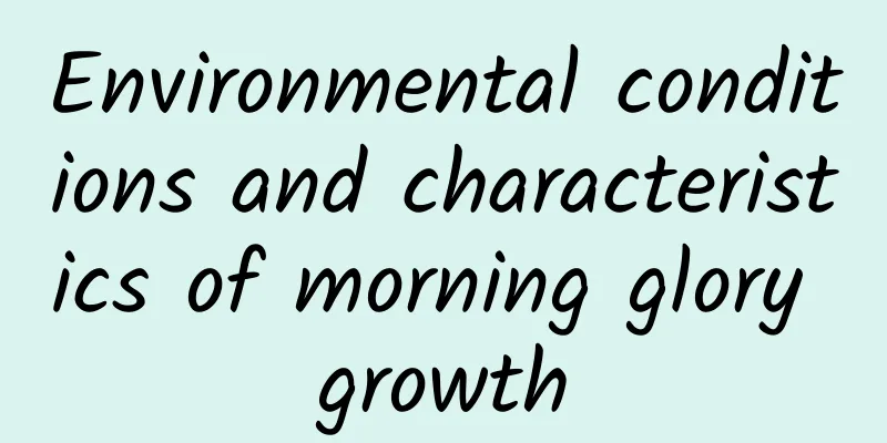 Environmental conditions and characteristics of morning glory growth