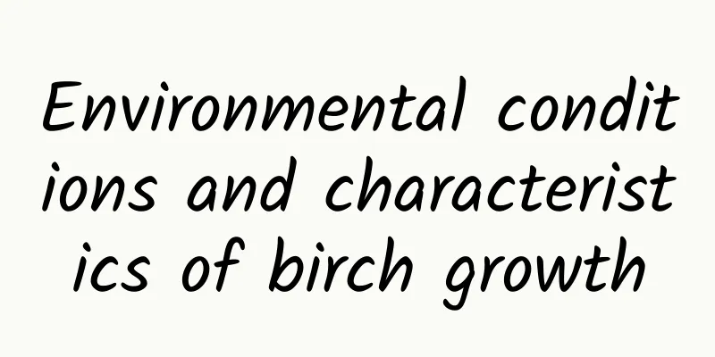 Environmental conditions and characteristics of birch growth