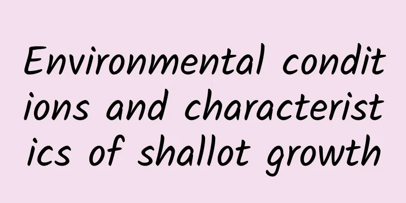 Environmental conditions and characteristics of shallot growth