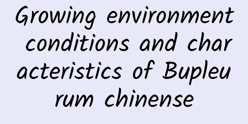 Growing environment conditions and characteristics of Bupleurum chinense
