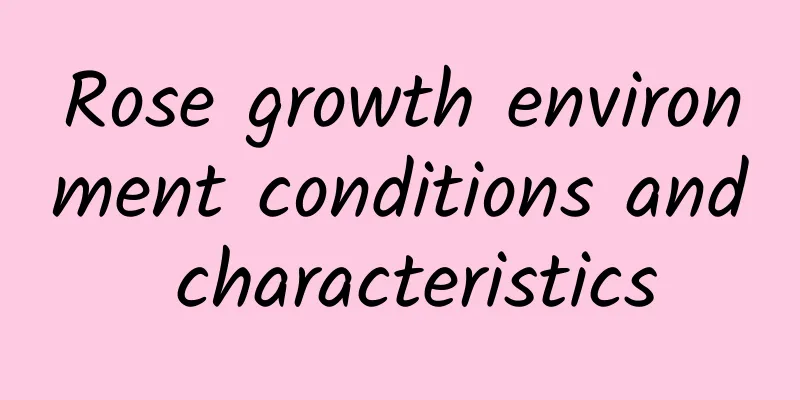 Rose growth environment conditions and characteristics