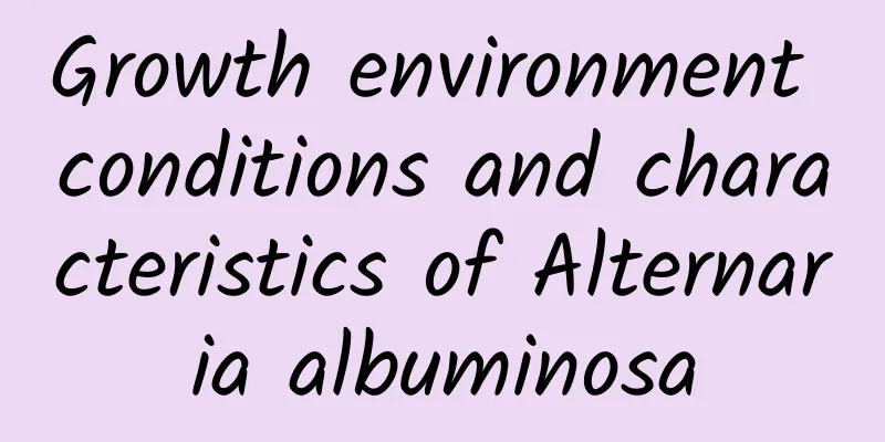 Growth environment conditions and characteristics of Alternaria albuminosa