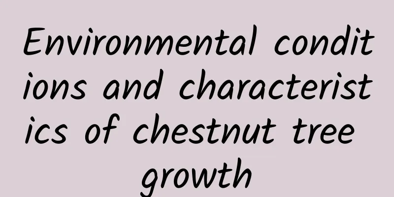 Environmental conditions and characteristics of chestnut tree growth