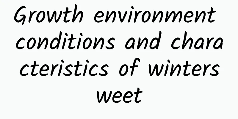 Growth environment conditions and characteristics of wintersweet