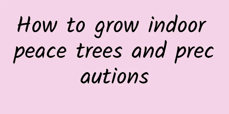 How to grow indoor peace trees and precautions