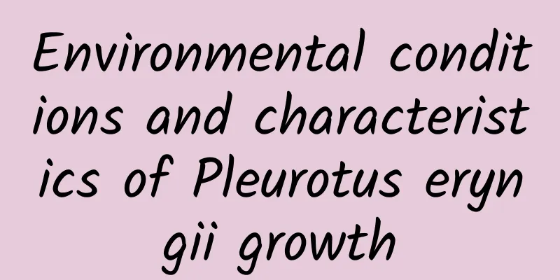 Environmental conditions and characteristics of Pleurotus eryngii growth