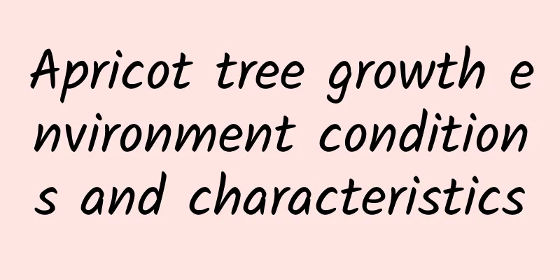 Apricot tree growth environment conditions and characteristics