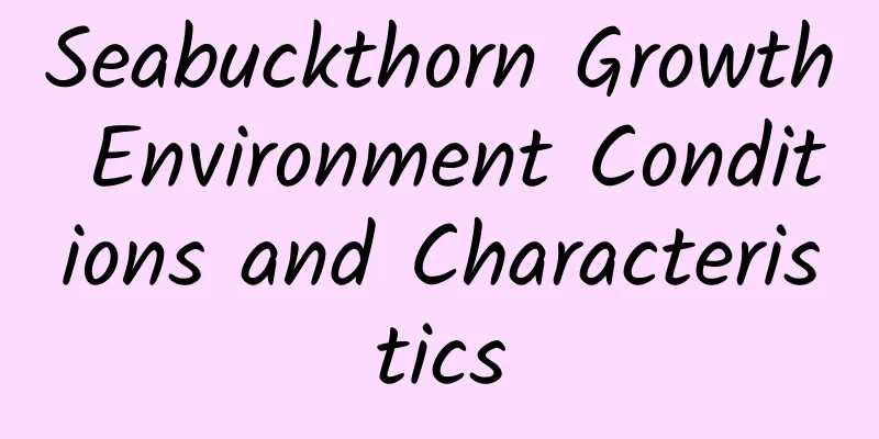 Seabuckthorn Growth Environment Conditions and Characteristics