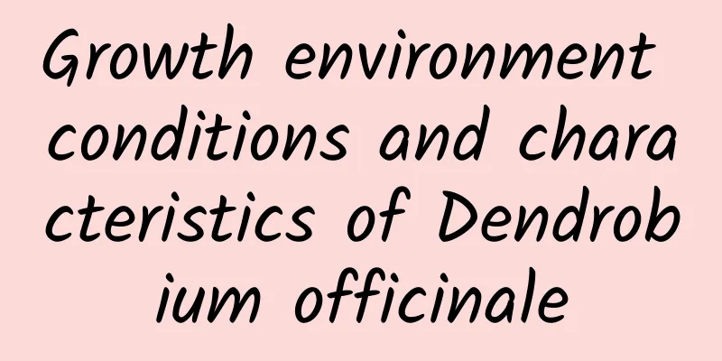 Growth environment conditions and characteristics of Dendrobium officinale