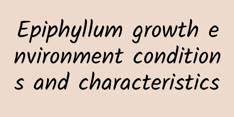 Epiphyllum growth environment conditions and characteristics