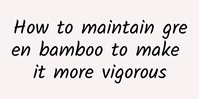 How to maintain green bamboo to make it more vigorous