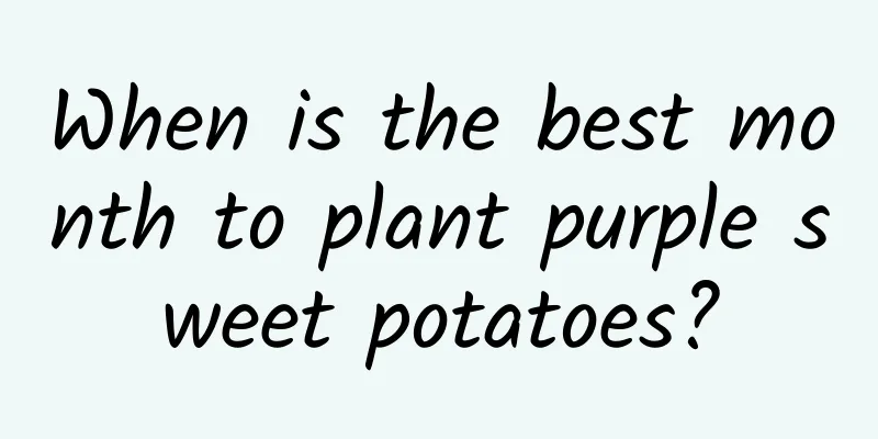 When is the best month to plant purple sweet potatoes?