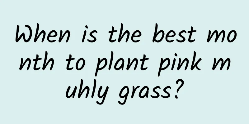 When is the best month to plant pink muhly grass?