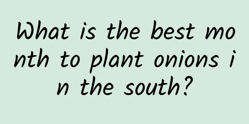 What is the best month to plant onions in the south?