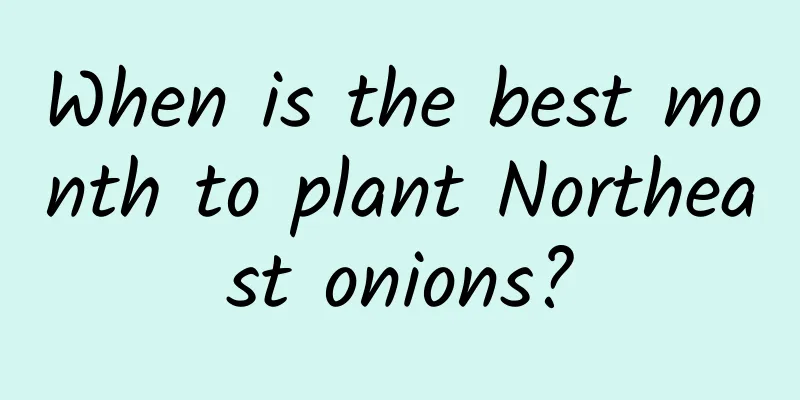When is the best month to plant Northeast onions?
