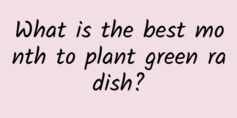 What is the best month to plant green radish?