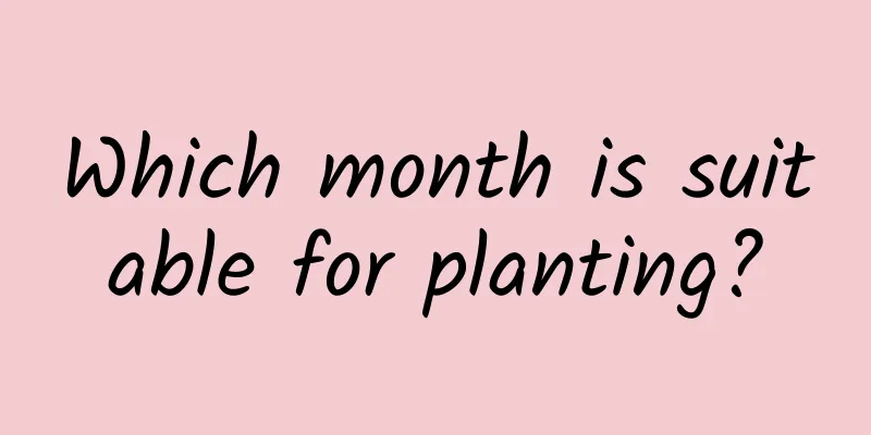 Which month is suitable for planting?