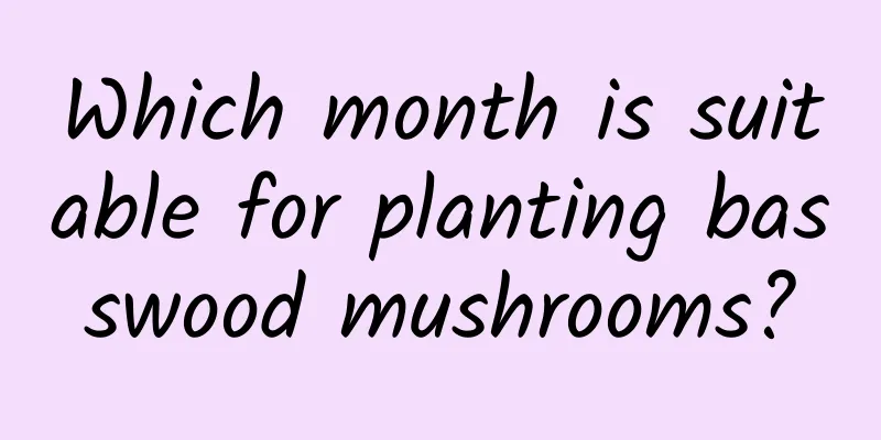 Which month is suitable for planting basswood mushrooms?