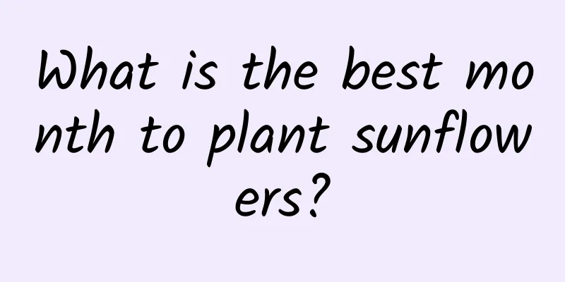 What is the best month to plant sunflowers?