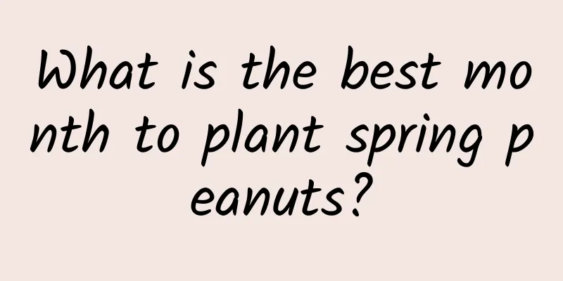 What is the best month to plant spring peanuts?