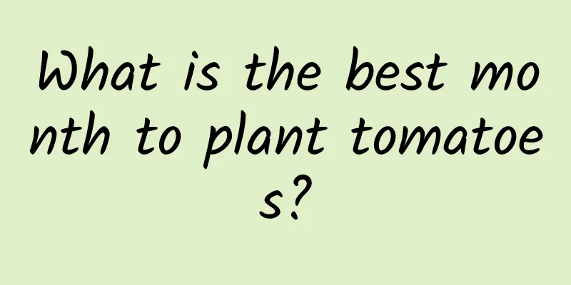 What is the best month to plant tomatoes?