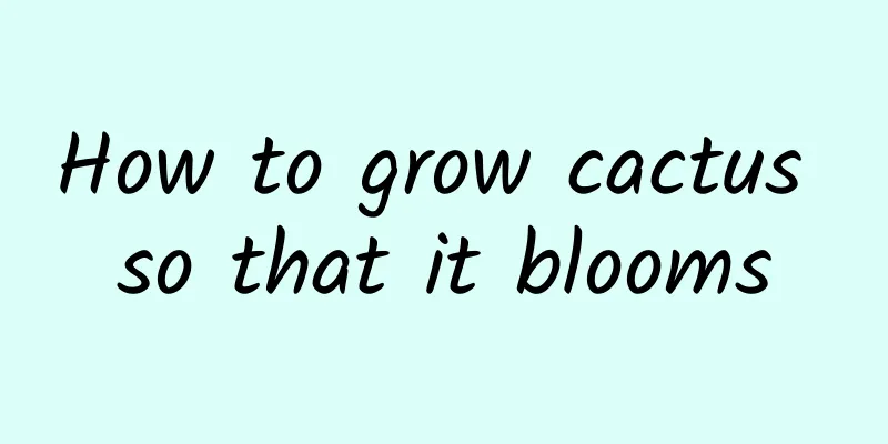 How to grow cactus so that it blooms