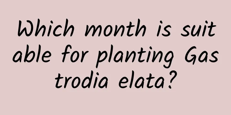 Which month is suitable for planting Gastrodia elata?