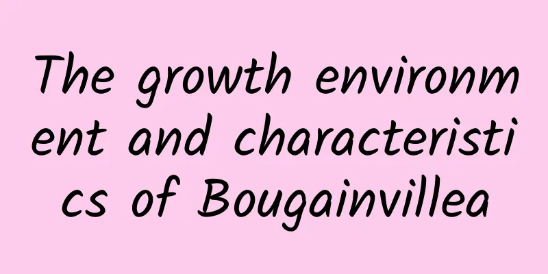 The growth environment and characteristics of Bougainvillea
