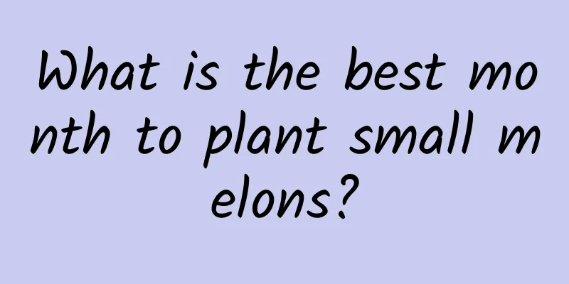 What is the best month to plant small melons?