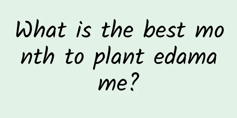What is the best month to plant edamame?
